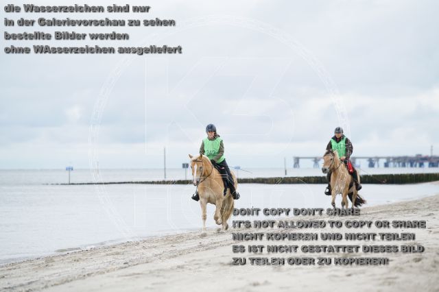 s_K3F04762.JPG